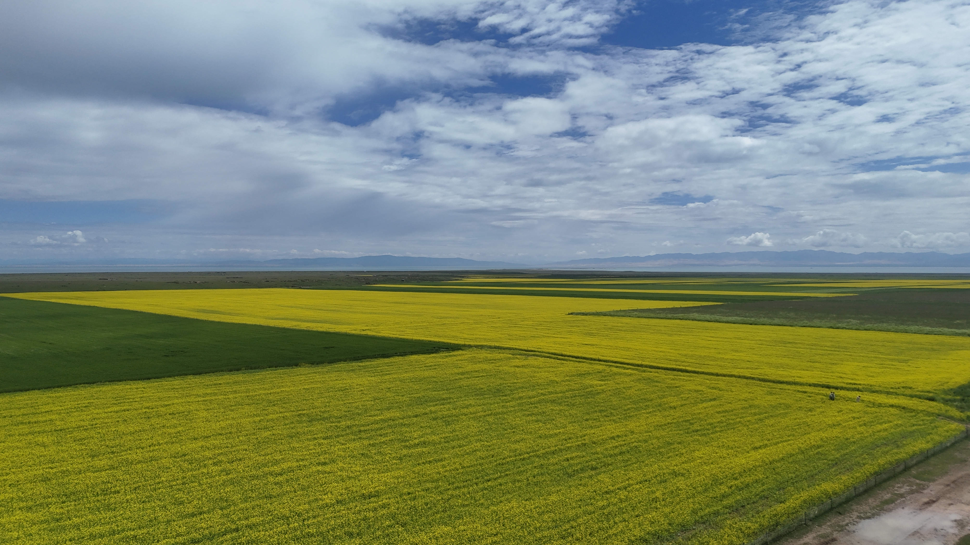 DJI_20250720112525_0341_D.JPG