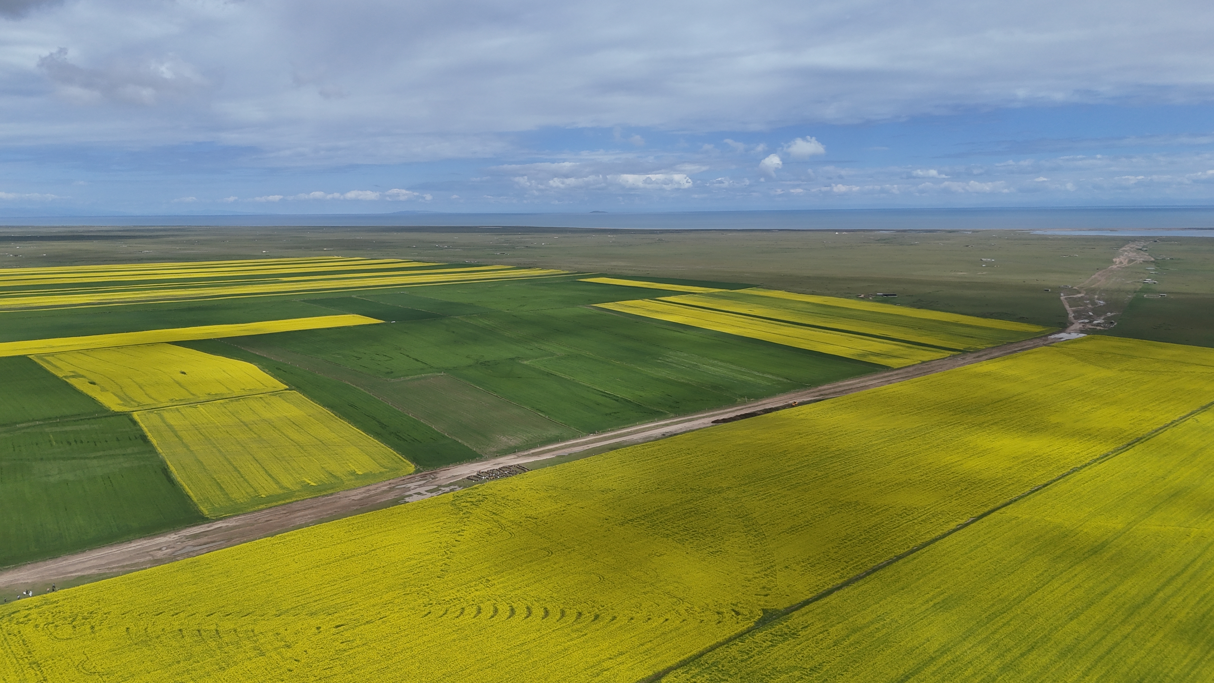 DJI_20250720112611_0342_D.JPG