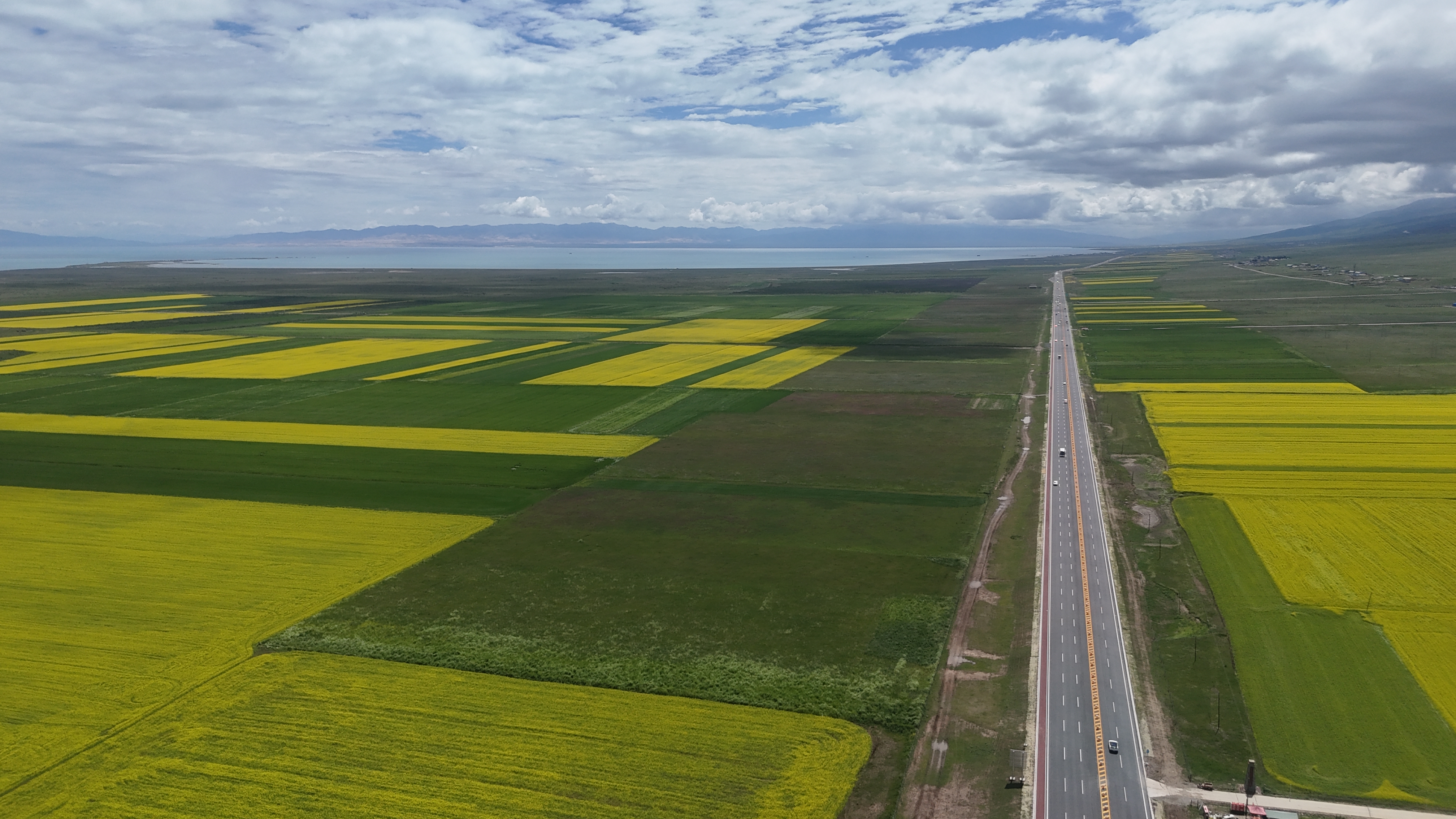 DJI_20250720112642_0343_D.JPG