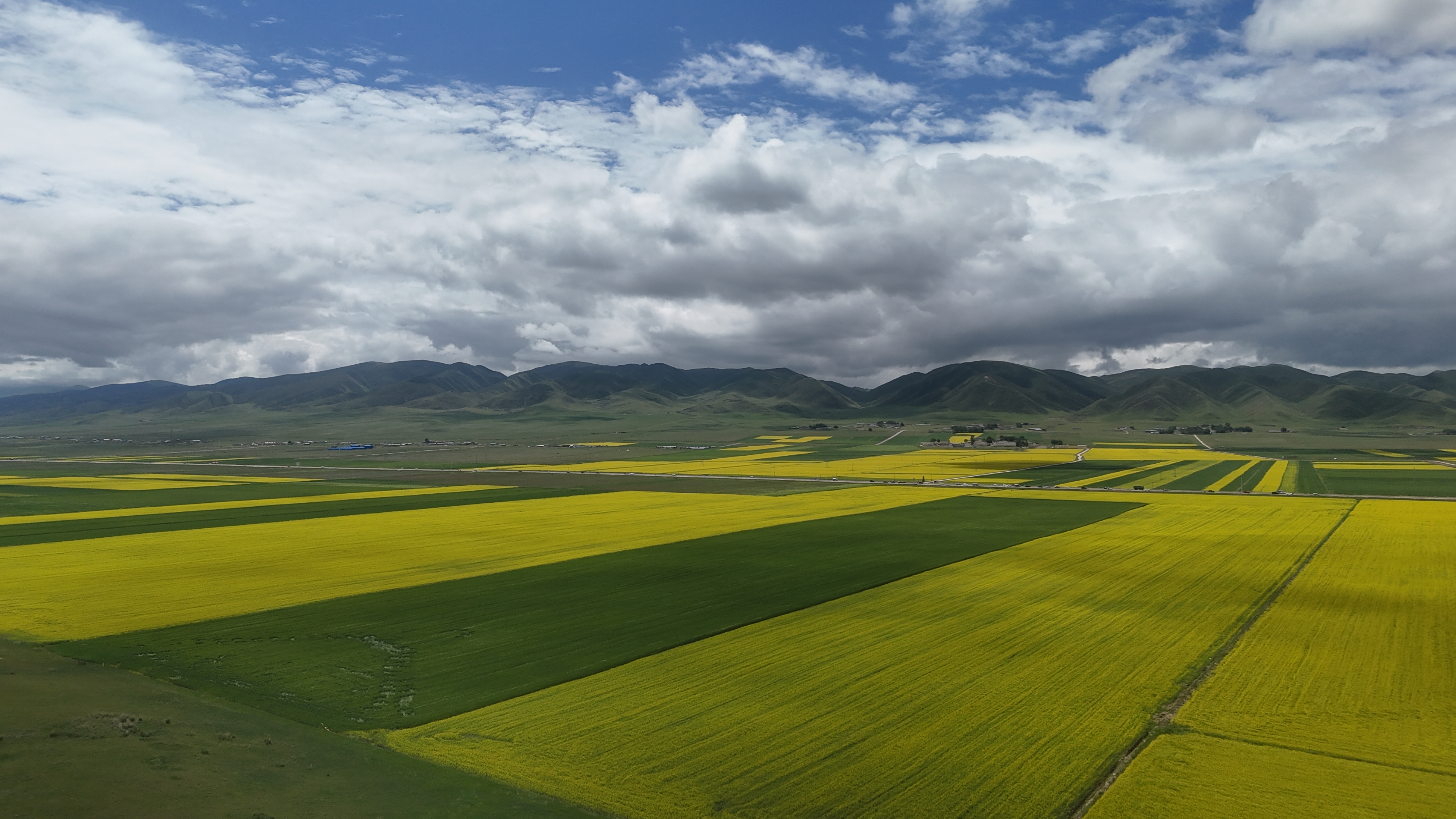 DJI_20250720113024_0346_D.JPG