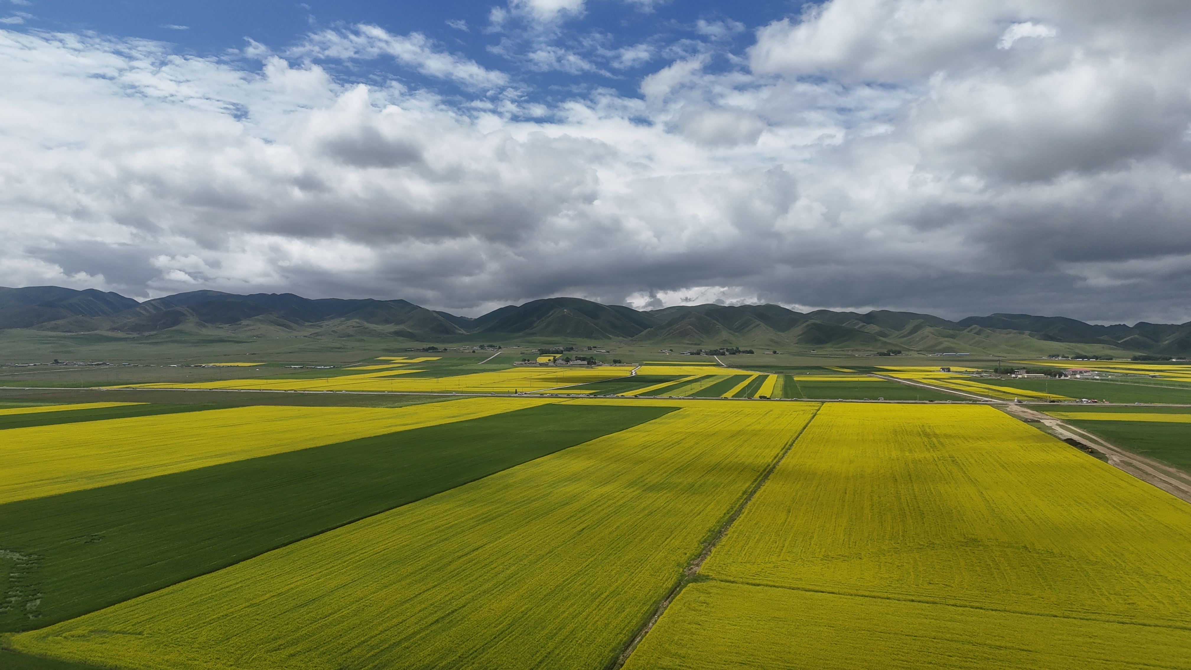 DJI_20250720113030_0347_D.JPG