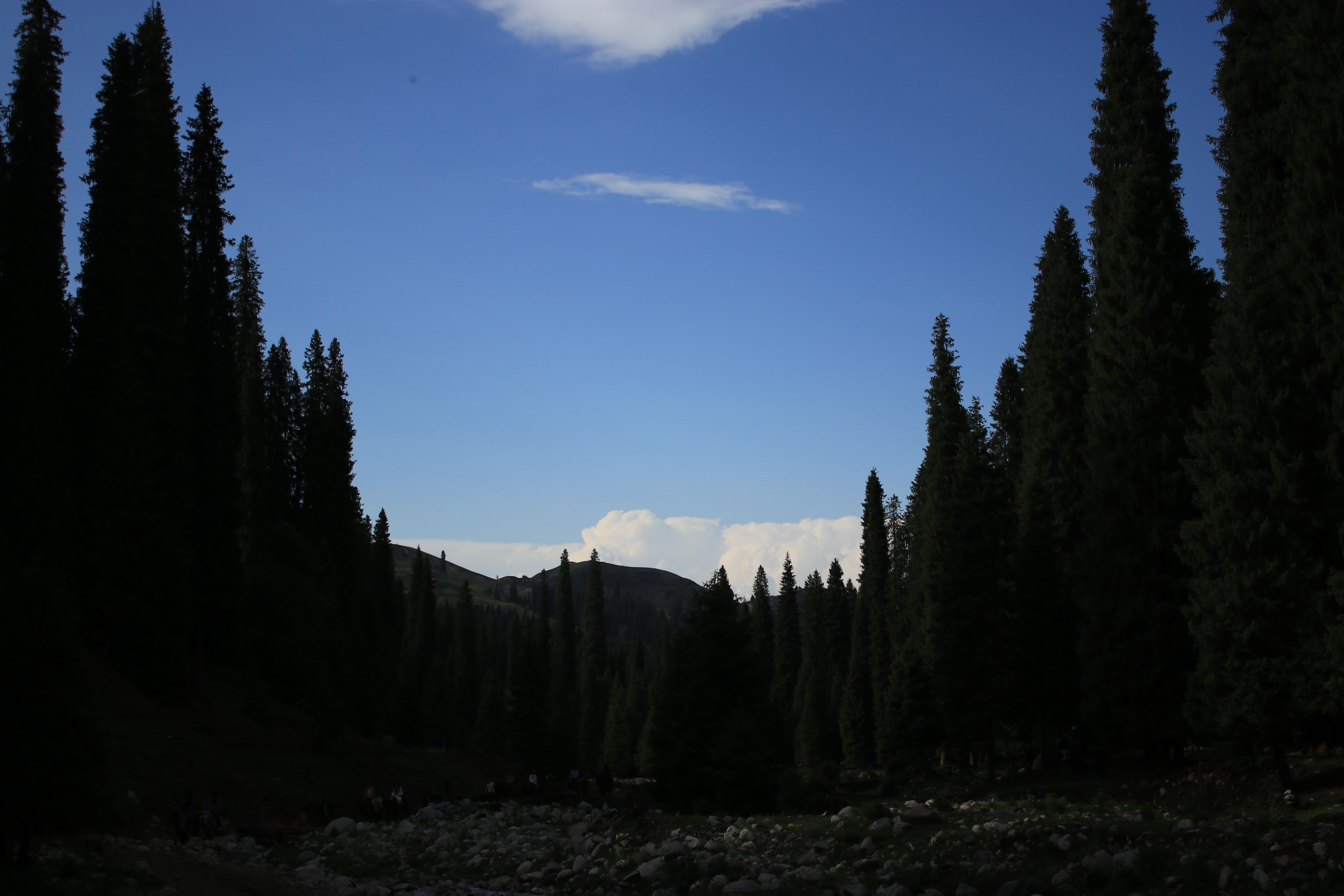IMG_2266.JPG